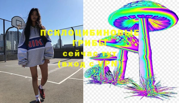 спайс Новодвинск