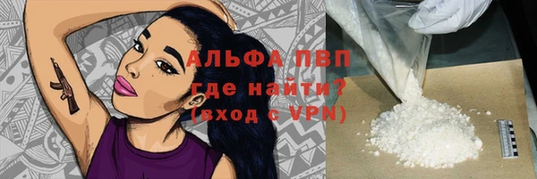 сатива Няндома