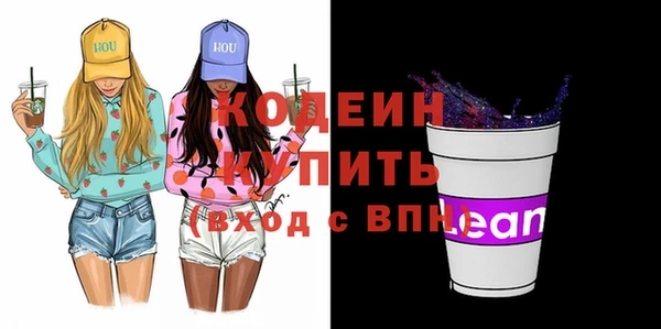 сатива Няндома