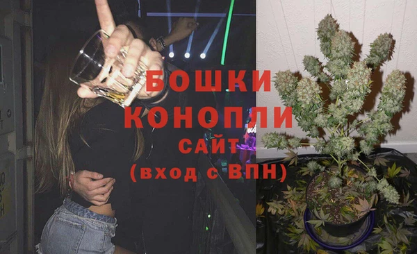 сатива Няндома