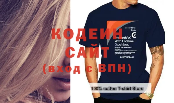 сатива Няндома