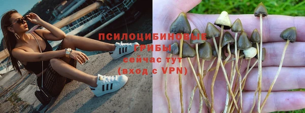 спайс Новодвинск